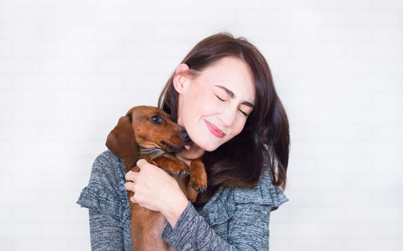 affection-brunette-dog